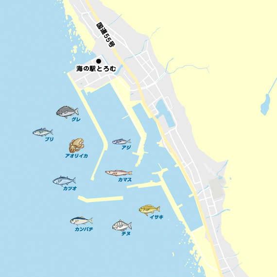 エギング 高知 室戸岬漁港 エギング アオリイカ 陸っぱり 釣り 魚釣り 釣果情報サイト カンパリ