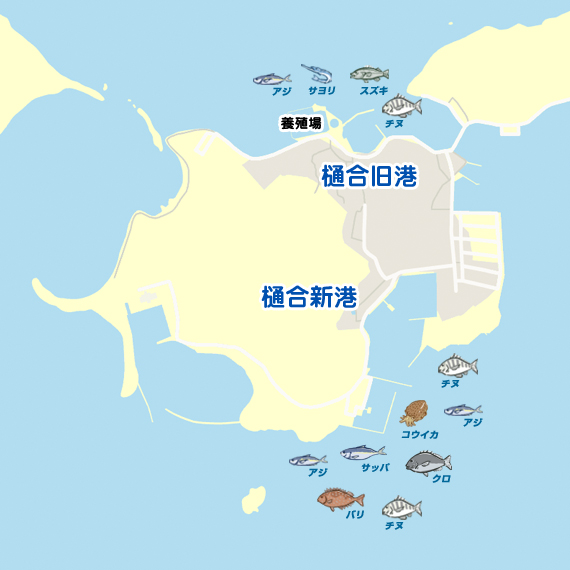 樋合島