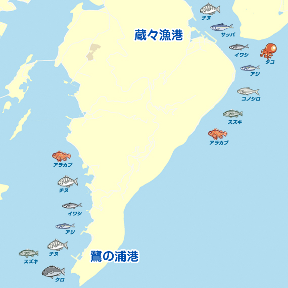 メバルプラッキング 熊本 維和島 メバリング メバル 陸っぱり 釣り 魚釣り 釣果情報サイト カンパリ