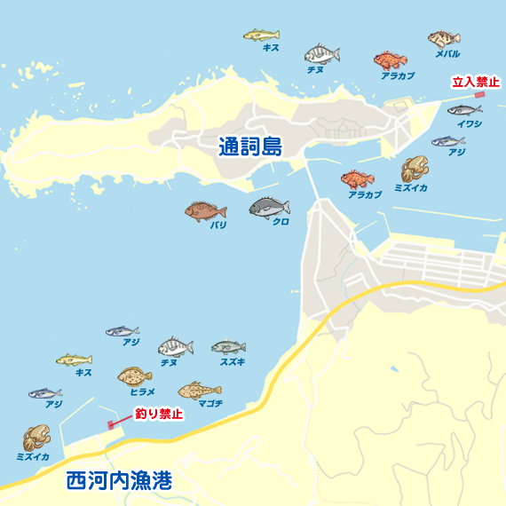 西河内漁港 通詞島 陸っぱり 釣り 魚釣り 釣果情報サイト カンパリ