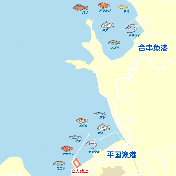 エギング 熊本 合串漁港 平国漁港 エギング アオリイカ 陸っぱり 釣り 魚釣り 釣果情報サイト カンパリ