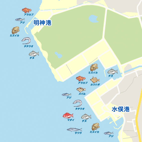 水俣港周辺 タチウオ 陸っぱり 釣り 魚釣り 釣果情報サイト カンパリ