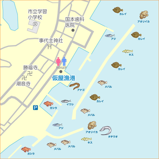 アジングでダツ 淡路島 仮屋 アジング ダツ 陸っぱり 釣り 魚釣り 釣果情報サイト カンパリ