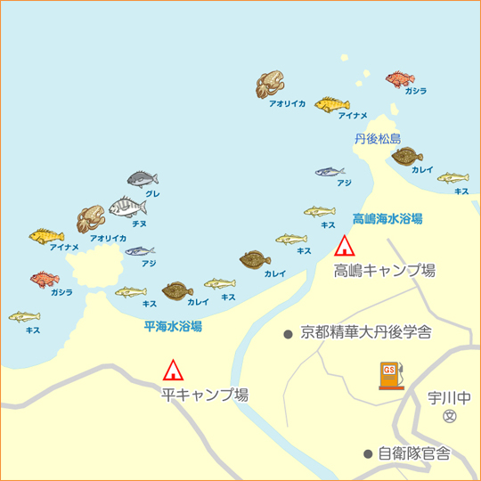 平海水浴場 陸っぱり 釣り 魚釣り 釣果情報サイト カンパリ