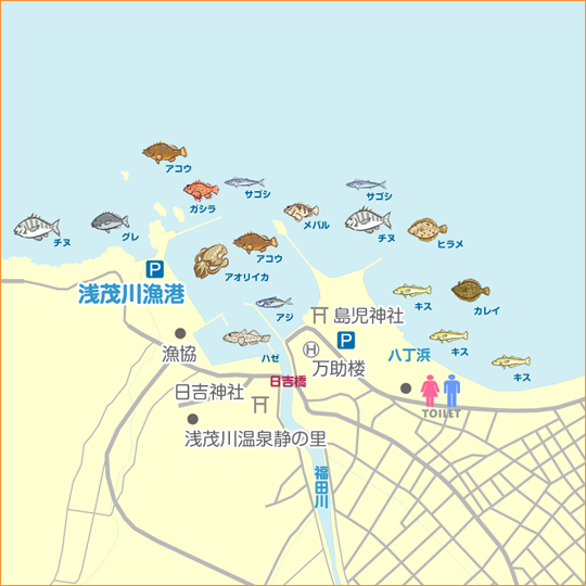 浅茂川 陸っぱり 釣り 魚釣り 釣果情報サイト カンパリ