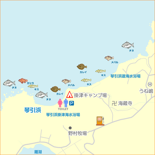 琴引浜