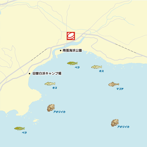 田曽白浜