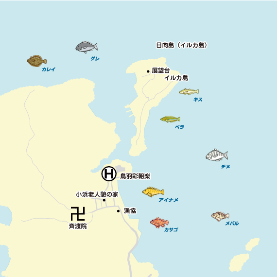 小浜～イルカ島