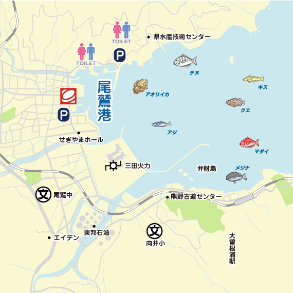 尾鷲～大曽根浦