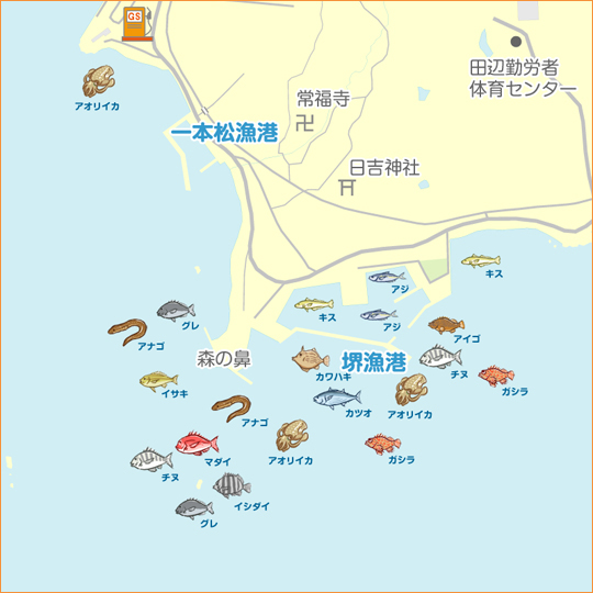 堺・一本松漁港