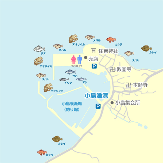 小島漁港 陸っぱり 釣り 魚釣り 釣果情報サイト カンパリ