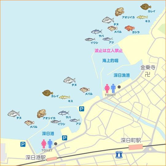 深日漁港 陸っぱり 釣り 魚釣り 釣果情報サイト カンパリ