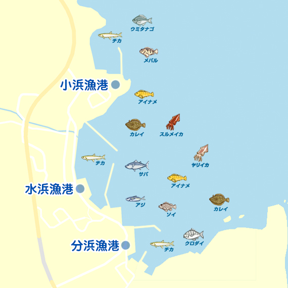 小浜漁港〜分浜漁港