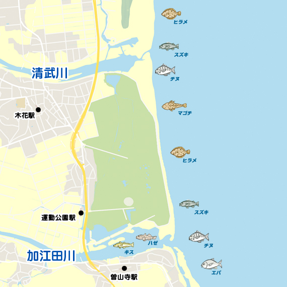 清武川・加江田川河口