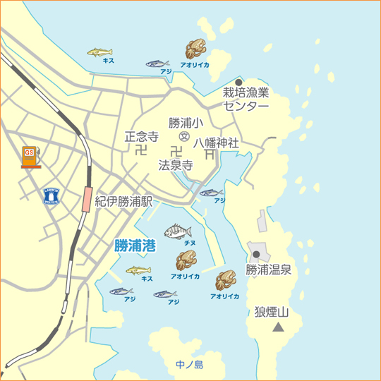 勝浦港 美浜 陸っぱり 釣り 魚釣り 釣果情報サイト カンパリ