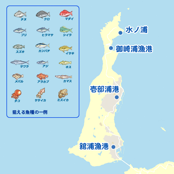 禁漁前に 長崎 生月島 エギング アオリイカ 陸っぱり 釣り 魚釣り 釣果情報サイト カンパリ