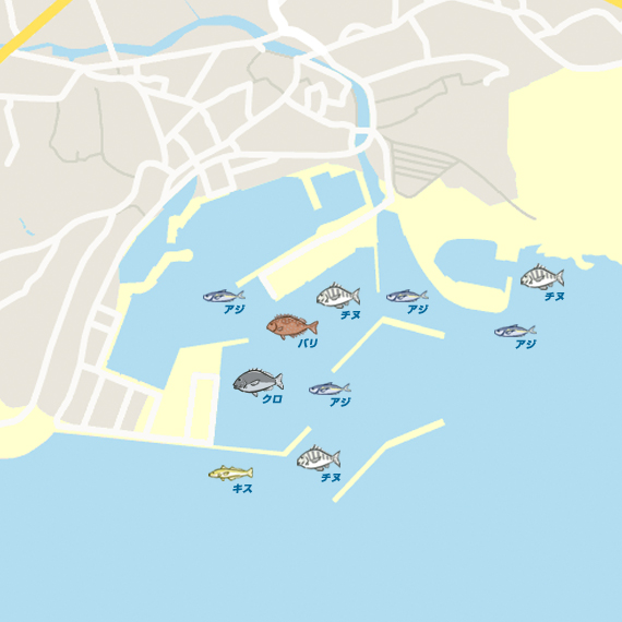 有喜港 陸っぱり 釣り 魚釣り 釣果情報サイト カンパリ
