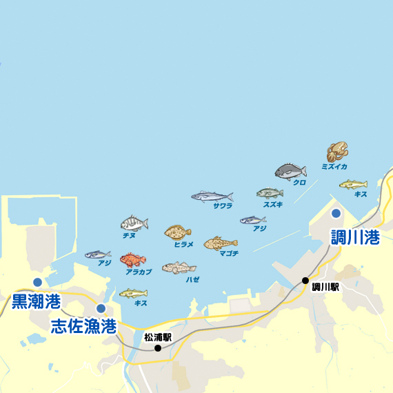 黒潮港〜調川港