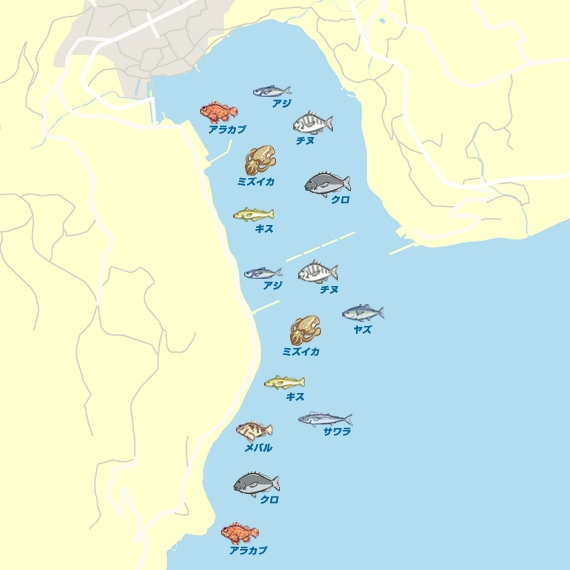 俵ヶ浦漁港 陸っぱり 釣り 魚釣り 釣果情報サイト カンパリ