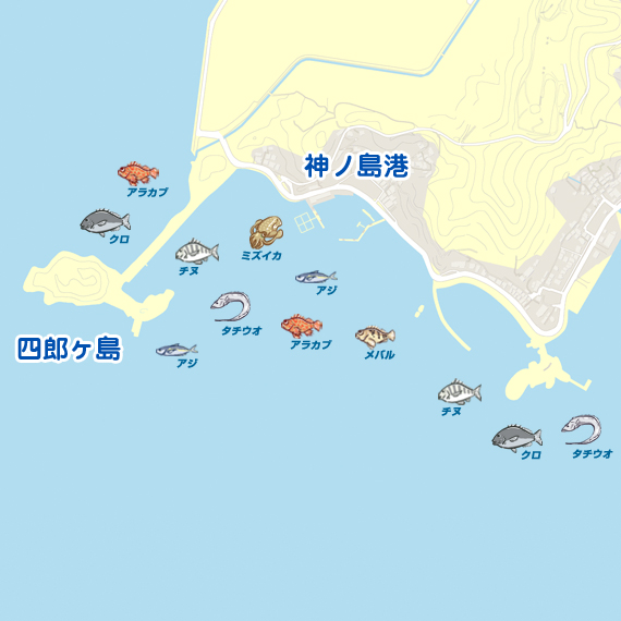 アジ 釣れすぎ笑 長崎 神ノ島港 サビキ イワシ 陸っぱり 釣り 魚釣り 釣果情報サイト カンパリ