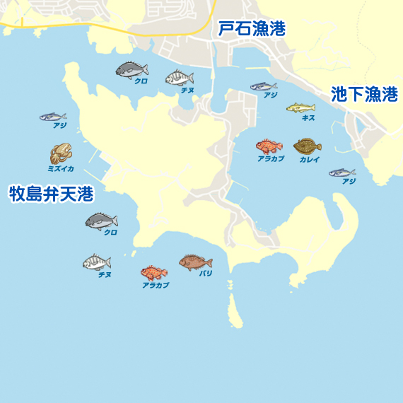 太刀魚釣れてます 長崎 牧島周辺 ワインド タチウオ 陸っぱり 釣り 魚釣り 釣果情報サイト カンパリ