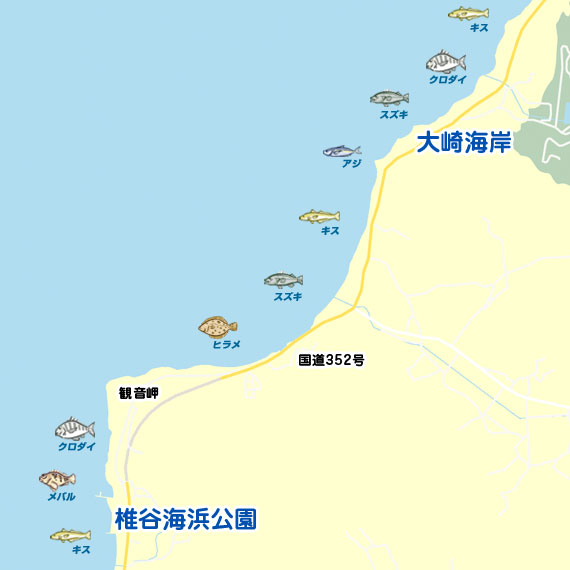 大崎海岸周辺 陸っぱり 釣り 魚釣り 釣果情報サイト カンパリ