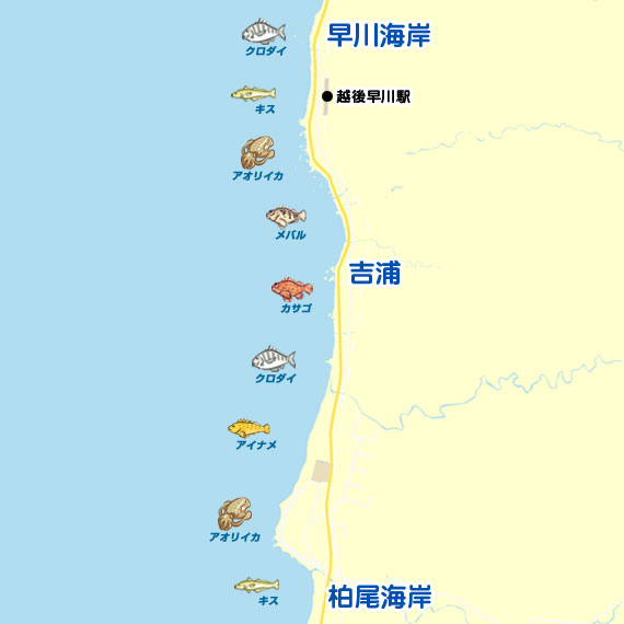 早川海岸〜柏尾海岸