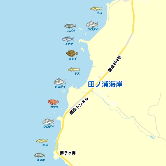 田ノ浦海岸周辺