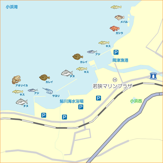 鯉川 陸っぱり 釣り 魚釣り 釣果情報サイト カンパリ