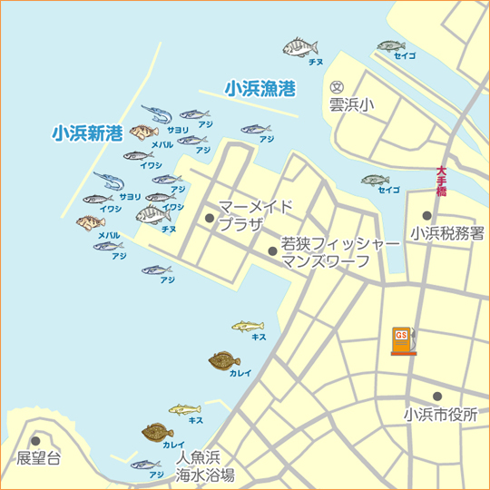 小浜港