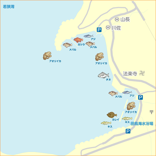 田烏 釣姫 陸っぱり 釣り 魚釣り 釣果情報サイト カンパリ