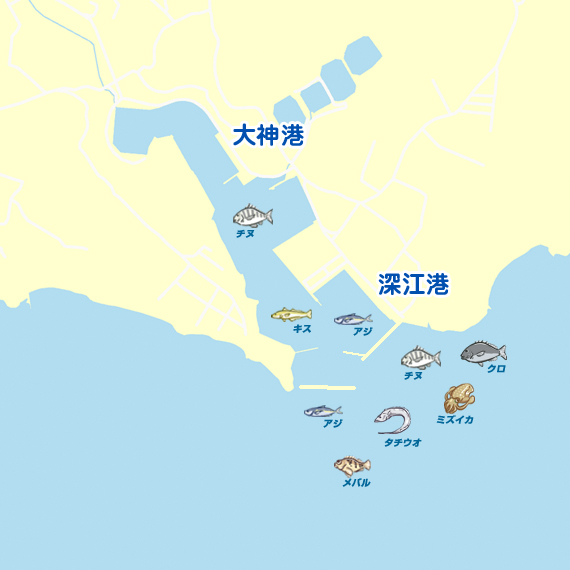 大神港 深江港 陸っぱり 釣り 魚釣り 釣果情報サイト カンパリ