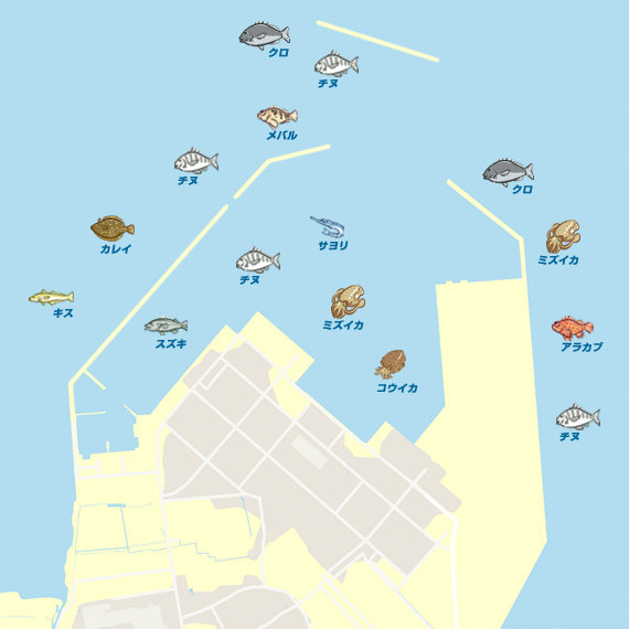 中津港 陸っぱり 釣り 魚釣り 釣果情報サイト カンパリ