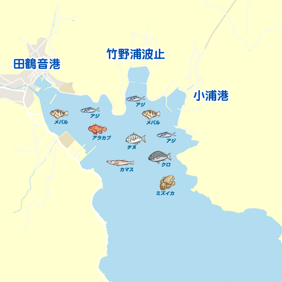 小浦湾・田鶴音港
