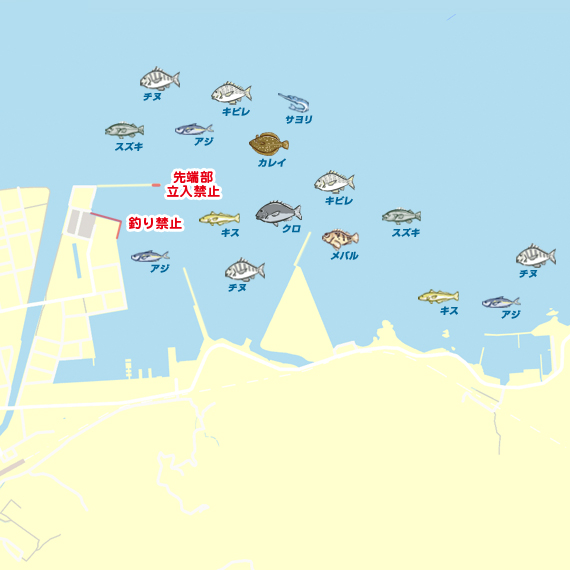 本日も大量カマス 大分 臼杵港周辺 エギング アカイカ 陸っぱり 釣り 魚釣り 釣果情報サイト カンパリ