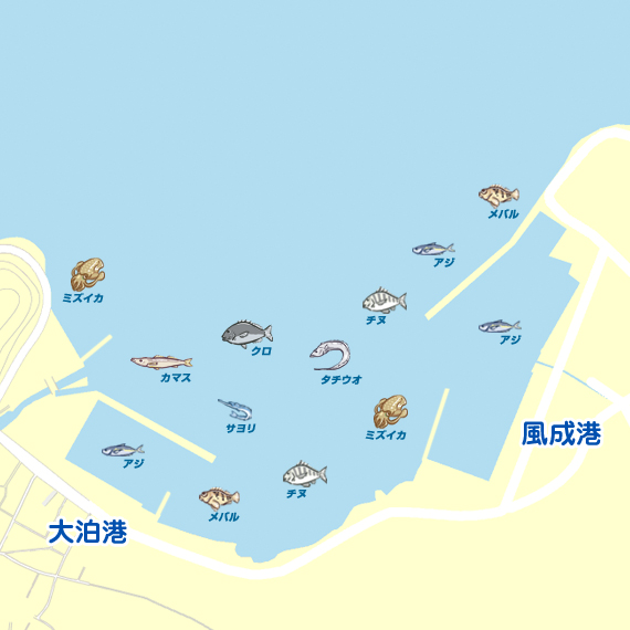 大泊港周辺(大分)