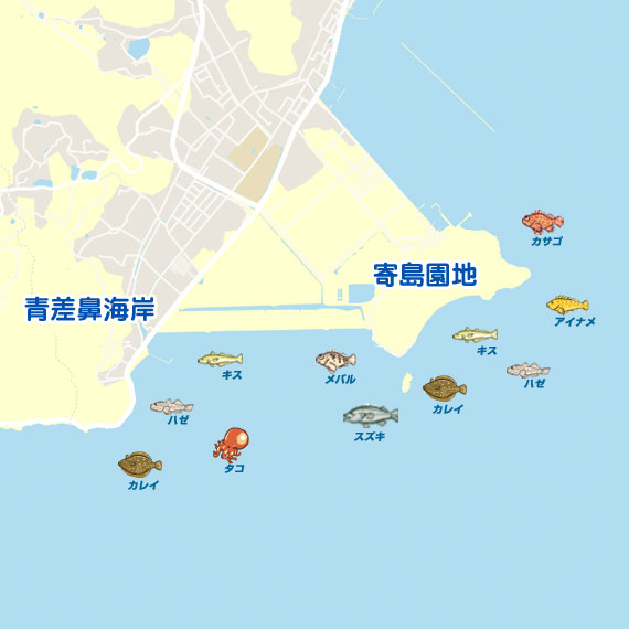 寄島園地周辺 陸っぱり 釣り 魚釣り 釣果情報サイト カンパリ