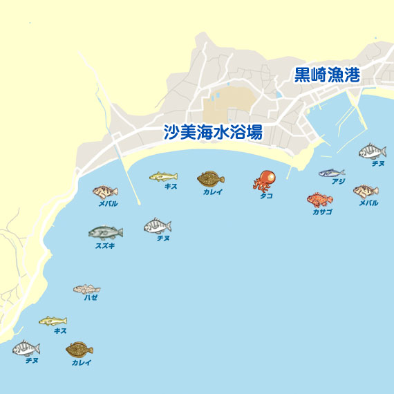 夜釣り 岡山 沙美周辺 その他餌釣り メバル 陸っぱり 釣り 魚釣り 釣果情報サイト カンパリ