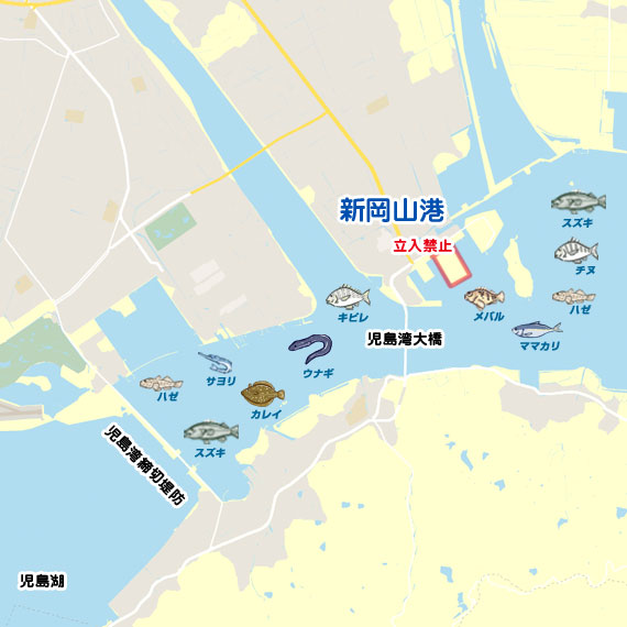 新岡山港周辺 陸っぱり 釣り 魚釣り 釣果情報サイト カンパリ