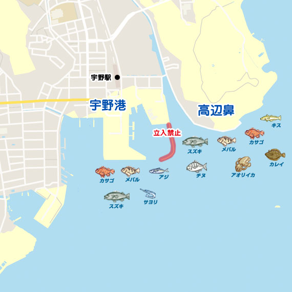 ベイカ 岡山 宇野港周辺 エギング ヒイカ 陸っぱり 釣り 魚釣り 釣果情報サイト カンパリ