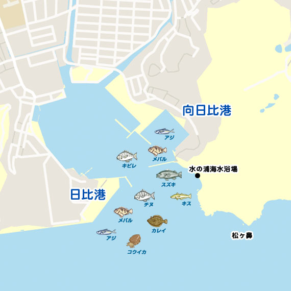 向日比港 陸っぱり 釣り 魚釣り 釣果情報サイト カンパリ