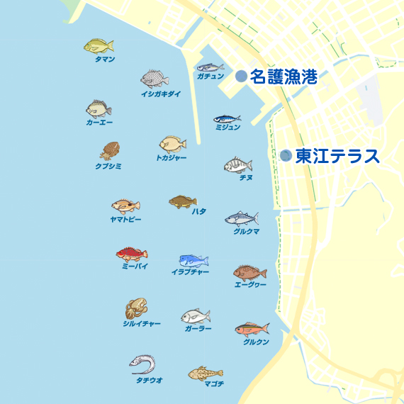 名護漁港〜東江テラス