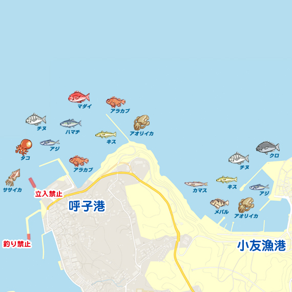 呼子港 小友漁港 陸っぱり 釣り 魚釣り 釣果情報サイト カンパリ