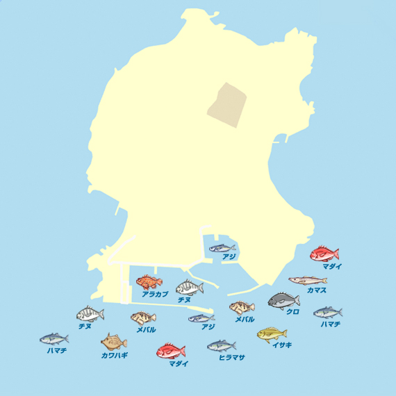 小川島 陸っぱり 釣り 魚釣り 釣果情報サイト カンパリ