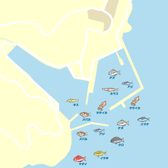 馬渡島 陸っぱり 釣り 魚釣り 釣果情報サイト カンパリ