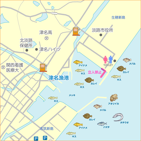 志筑 タチウオ 陸っぱり 釣り 魚釣り 釣果情報サイト カンパリ