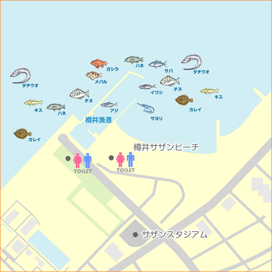 樽井漁港