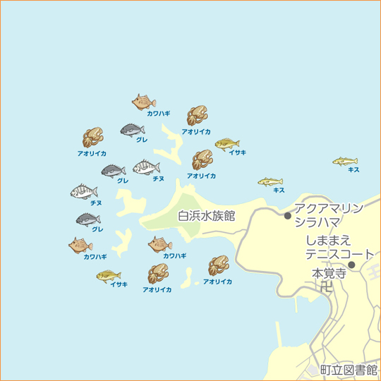 田辺沖磯 陸っぱり 釣り 魚釣り 釣果情報サイト カンパリ
