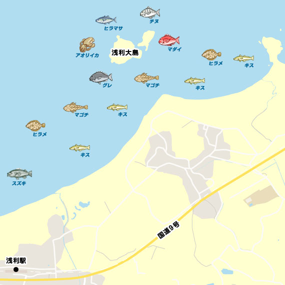 尾浜海岸