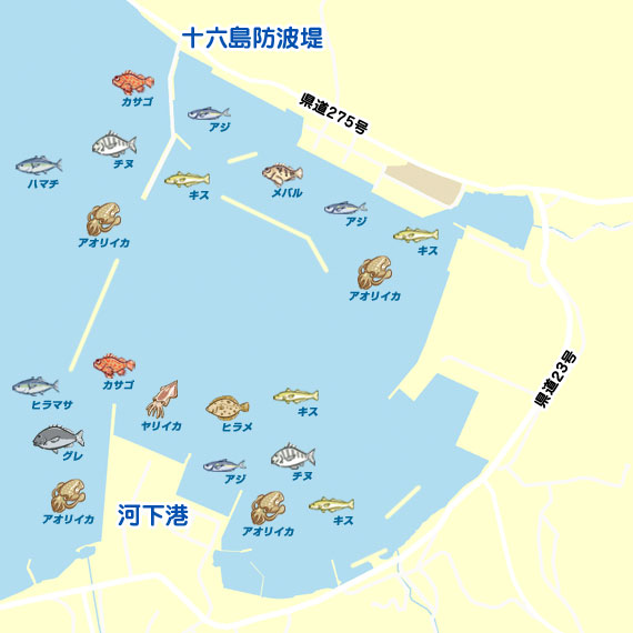 出雲市 河下港での初釣果 島根 十六島湾 ショアジギング ハタ 陸っぱり 釣り 魚釣り 釣果情報サイト カンパリ